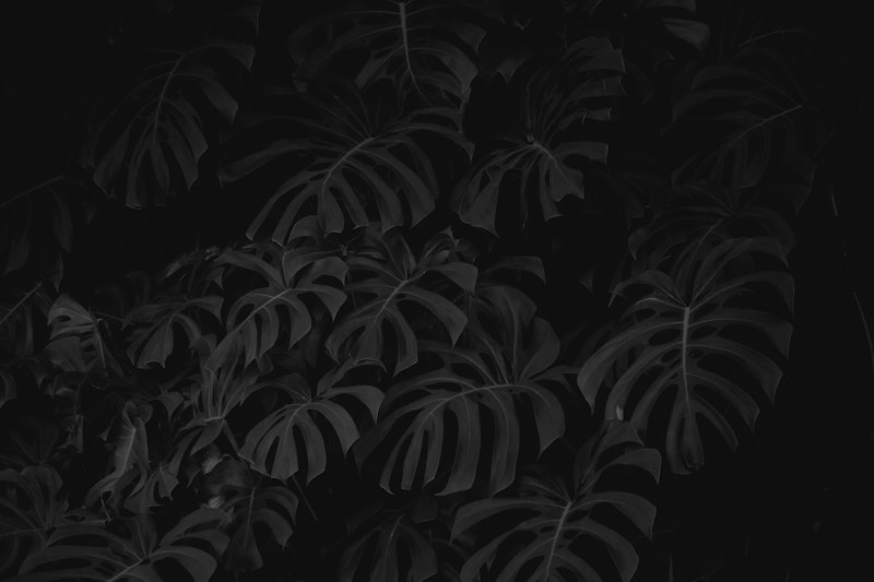 Creator with headphones streaming live